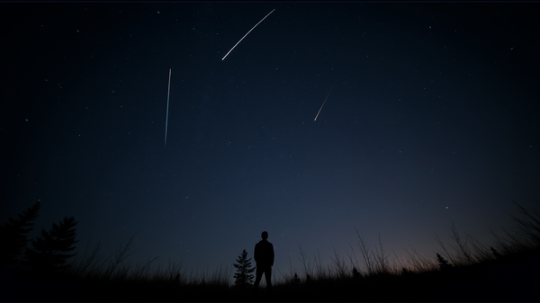 Catch the Spectacular Perseid Meteor Shower This Year